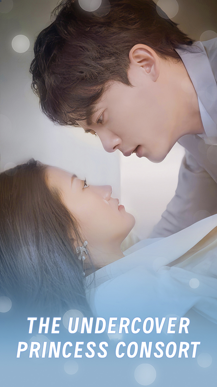 The Undercover Princess Consort