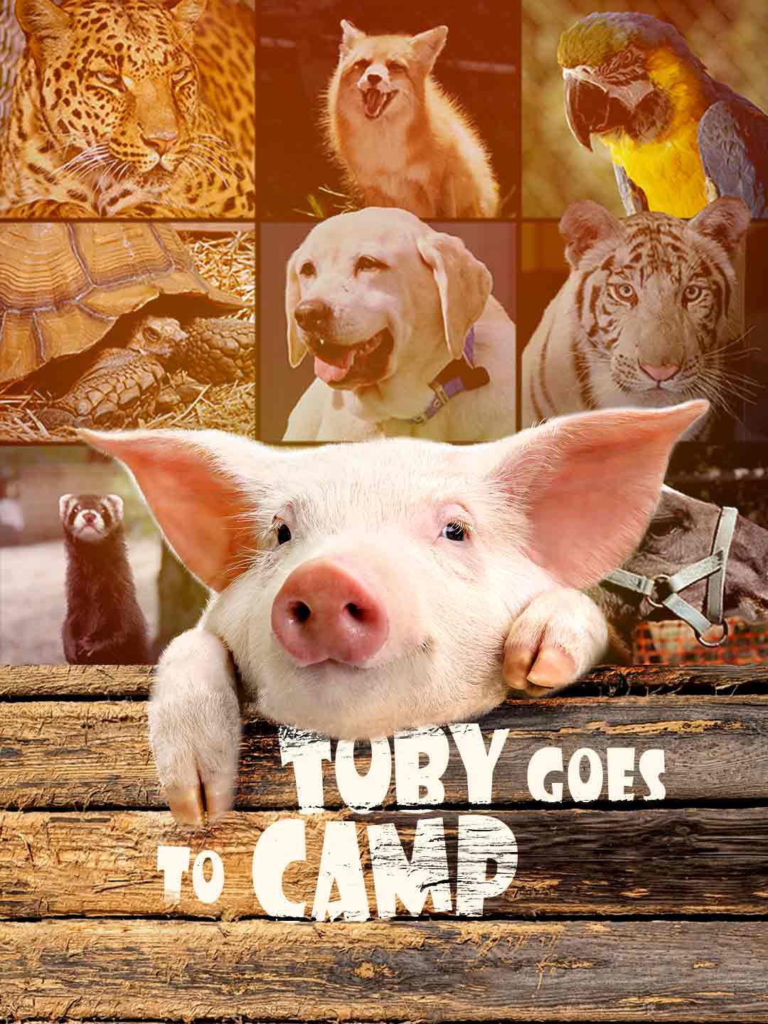 Toby Goes to Camp [Original]