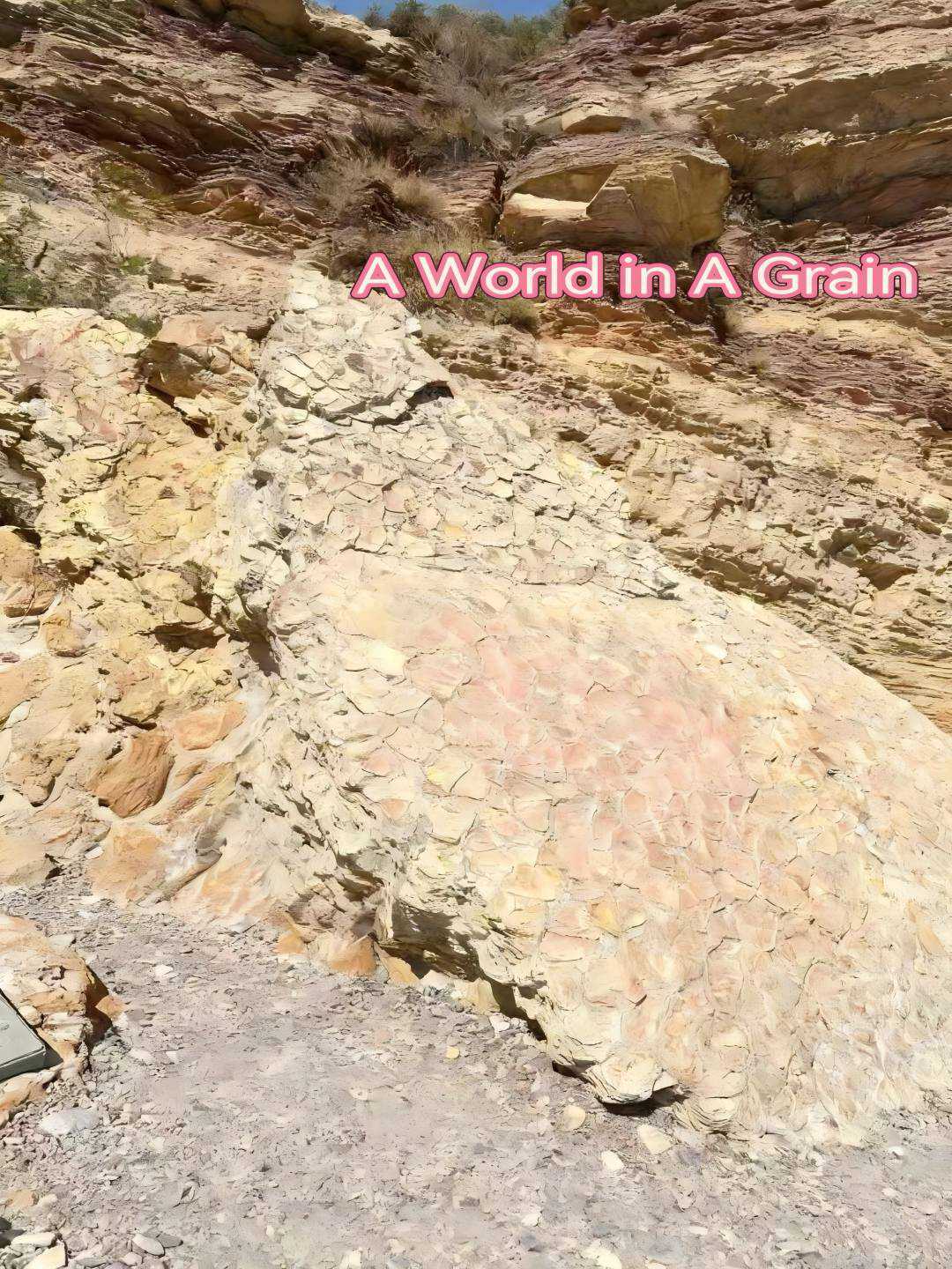 A World in a Grain